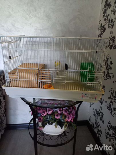 Клетка для грызунов