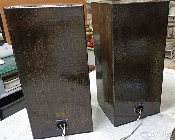 Акустические колонки Вега 106