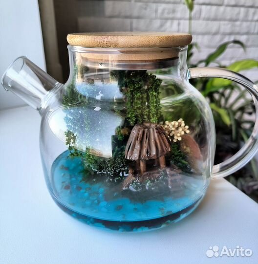 Подарок моссариум 