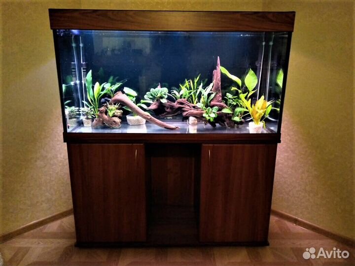 Аквариум