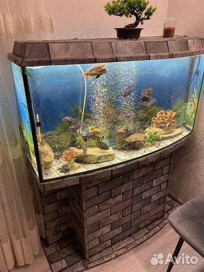 Аквариум с тумбой и рыбками