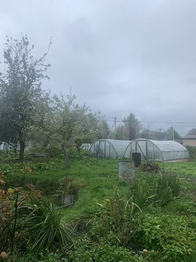 Участок 6,3 сот. (СНТ, ДНП)