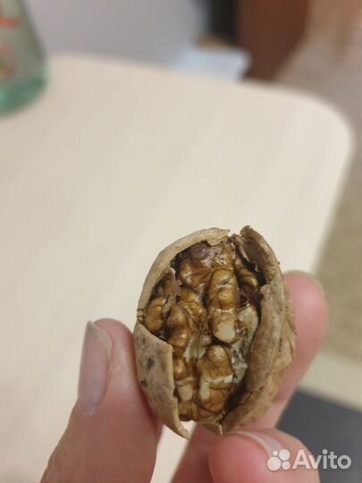 Грецкий орех в скорлупе