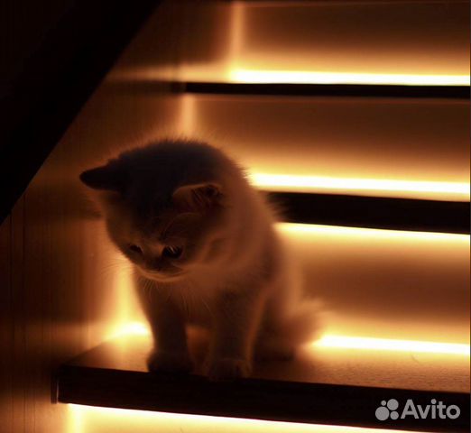 Подсветка лестницы с датчиками движения