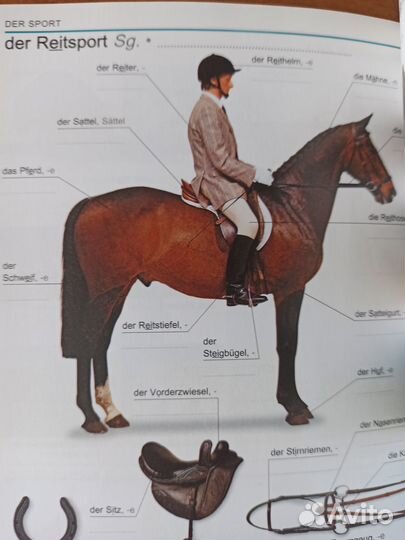 Немецкий визуальный словарь