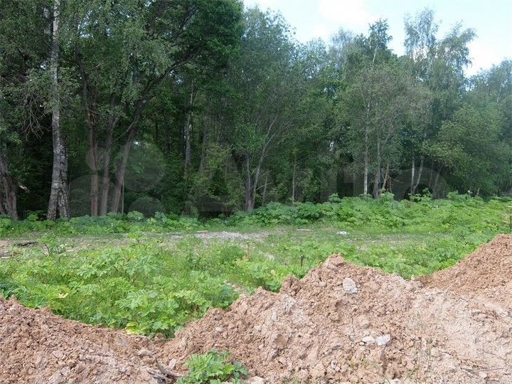 Участок 11,4 сот. (СНТ, ДНП)