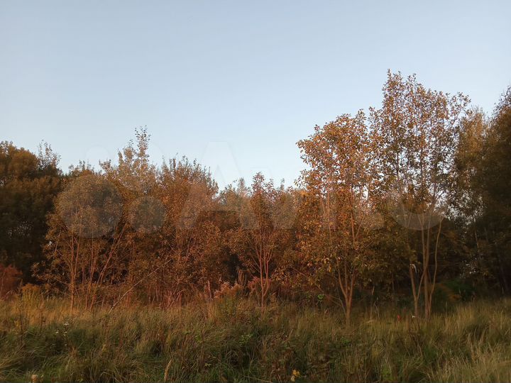 Участок 6 сот. (ИЖС)