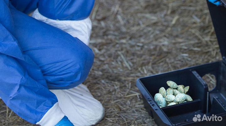 Шторм Ультра тб (5г) (9кг) от крыс и мышей