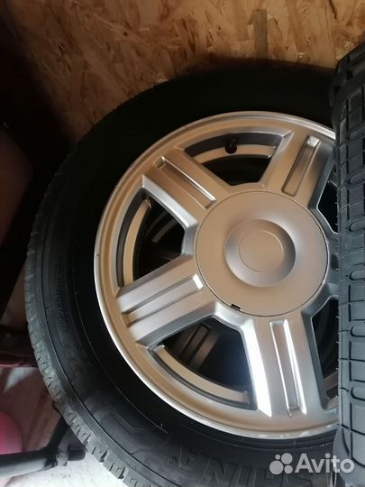 Торусы r14