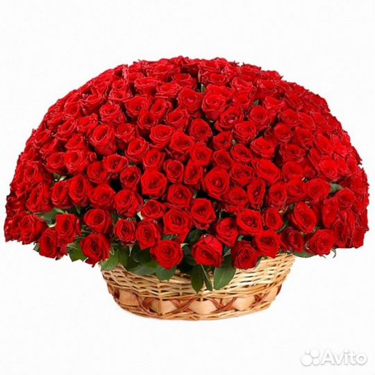 Букет 101 роза Доставка цветы розы 75 59 29 15