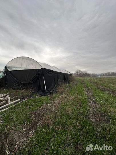 Металл на теплицу