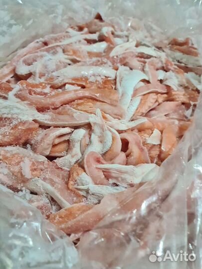 Рыба обрезь лосося