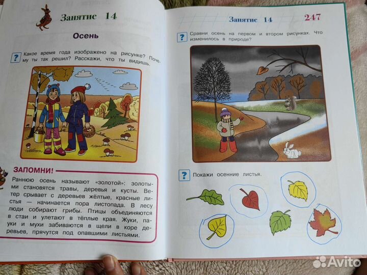 Годовой курс развивающих занятий 3-4 года