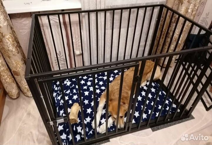 Антивандальные клетки и вольеры для собак
