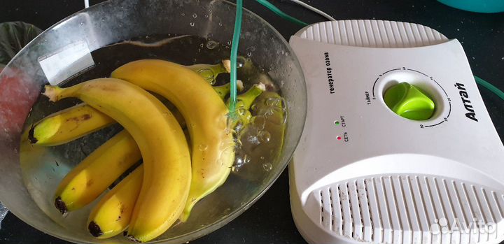 Озонатор- ионизатор