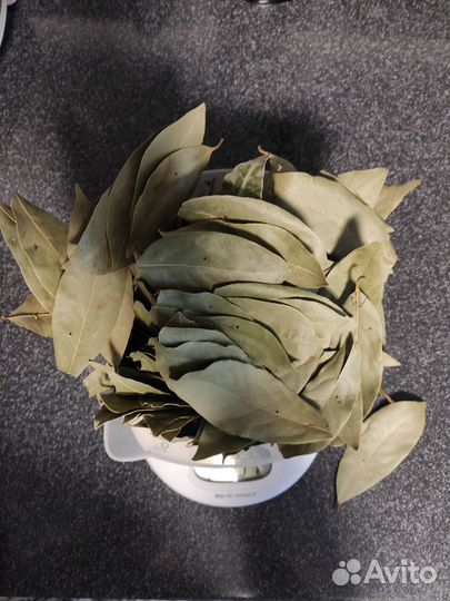 Лавровый лист