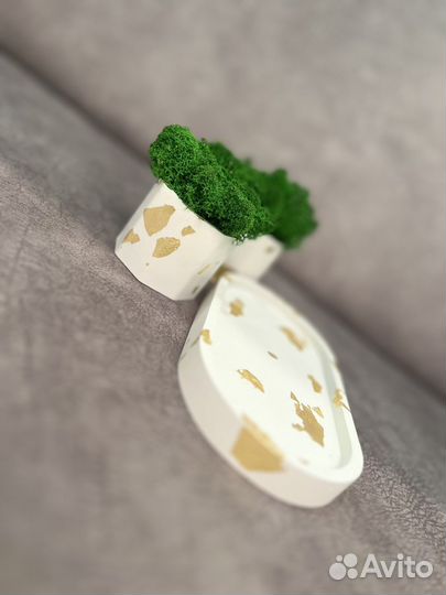 Набор кашпо со стабилизированным зеленым мхом