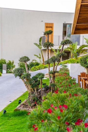 Готовый курортный бизнес на берегу Черного моря