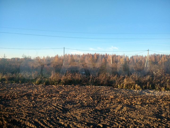 Участок 13 сот. (СНТ, ДНП)