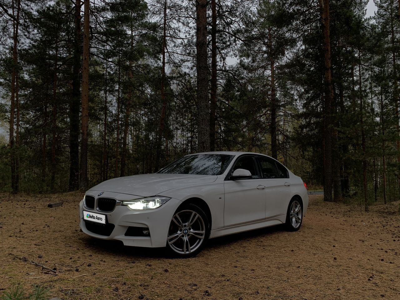 BMW 3 серия: фото владельца