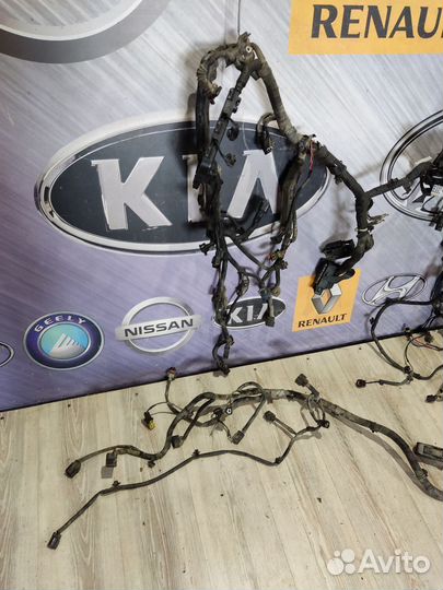 Проводка подкапотная двигателя Renault koleos