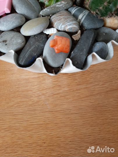 Композиция из суккулентов Отпуск