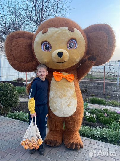 Экспресс поздравление аниматор