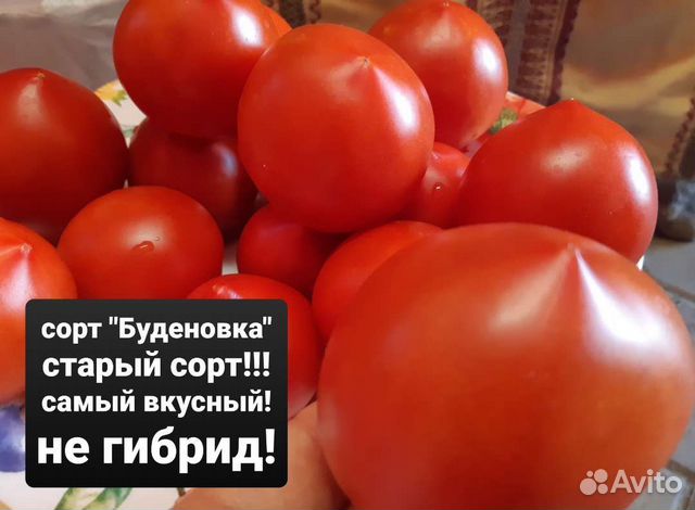 Семена вкусных домашних помидор старых сортов СССР