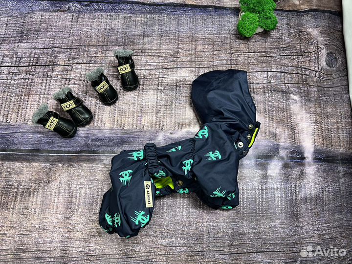 Одежда для собак