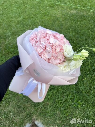 Букет Цветы Доставка Гортензии