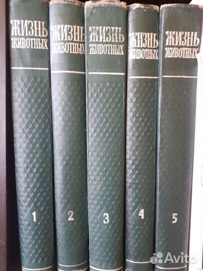 Жизнь животных СССР