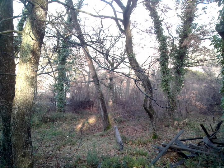 Участок 8,7 сот. (ИЖС)