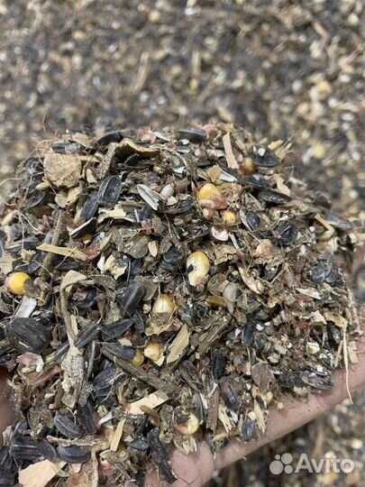 Зерно смеси