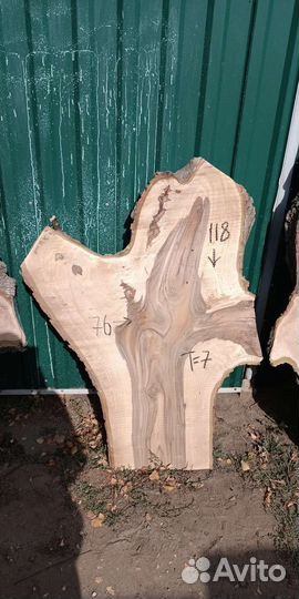 Слэбы ореха