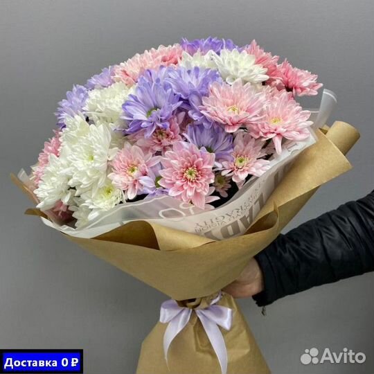 Купить хризантемы для дома