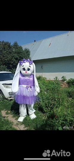 Выписка из Роддома, Ростовые куклы, Аниматоры