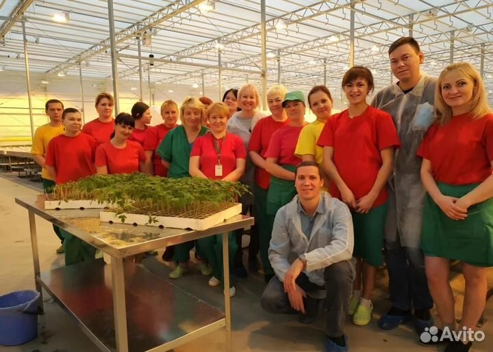 Вахта в Москве - Разнорабочий в Агрокомплекс