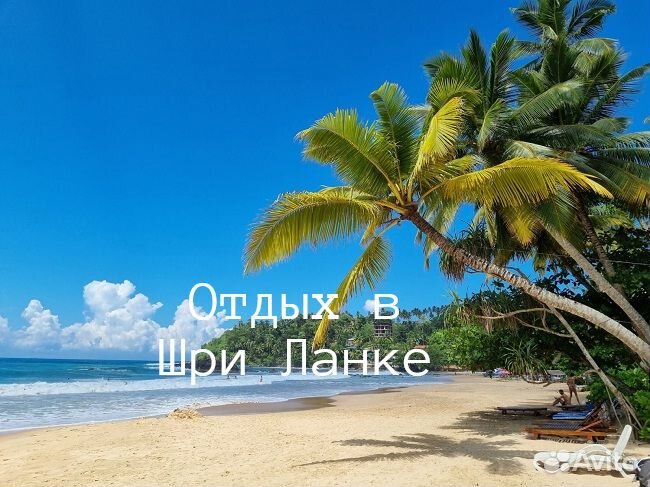Отдых в Шри Ланке
