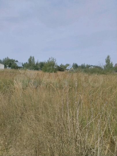 Участок 10 сот. (СНТ, ДНП)