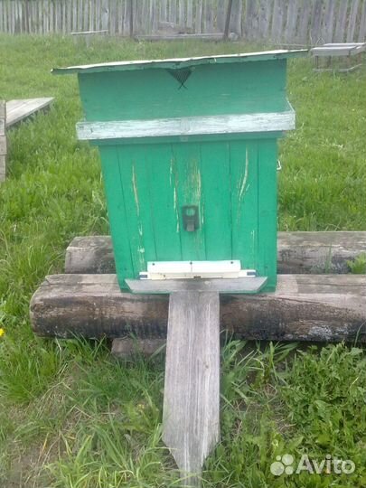 Продаются ульи