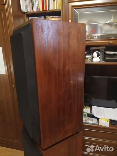 Колонки 35 ас-008 «Корвет»