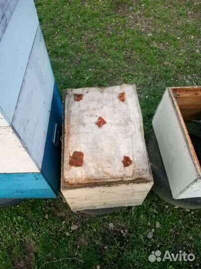 Продам ульи для пчел