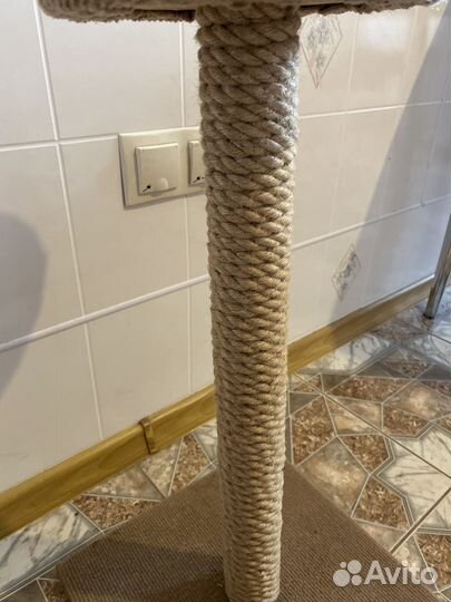 Когтеточка для кошек