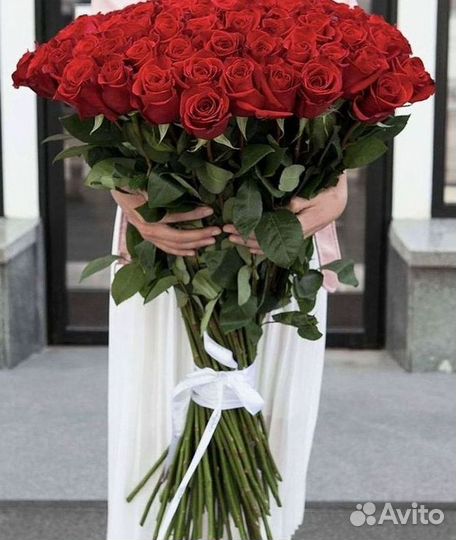 Розы Цветы Букеты 25 51 151 201 101 301 501 опт