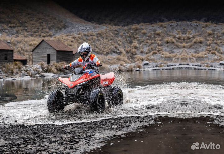 Детский квадроцикл сfmoto cforce 110 кубов