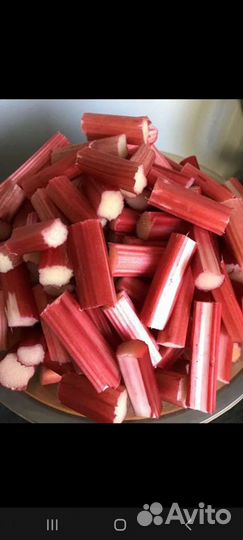 Ревень корень