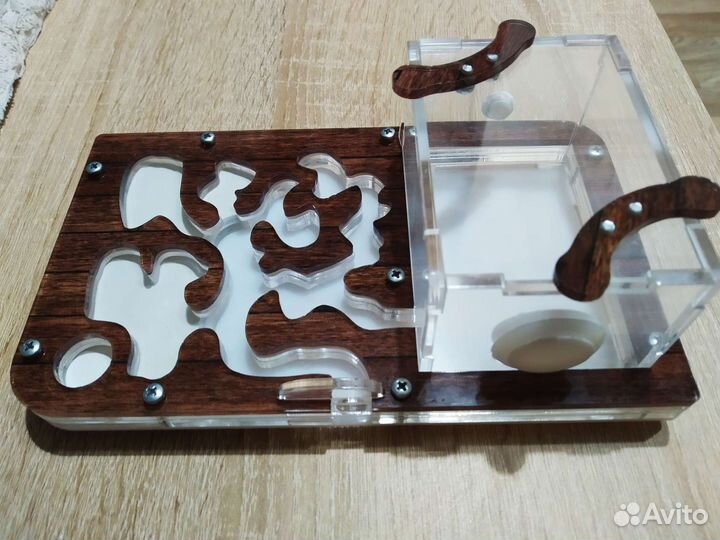 Формикарий для муравьев