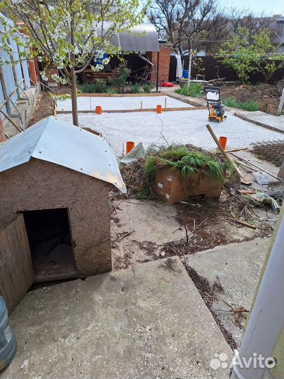 Собачья будка