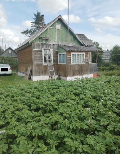 Дача 50 м² на участке 6 сот.