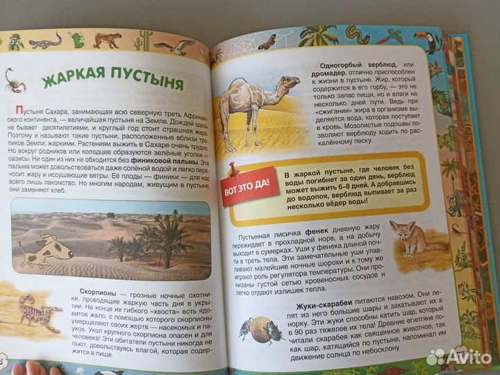 Первая энциклопедия школьника